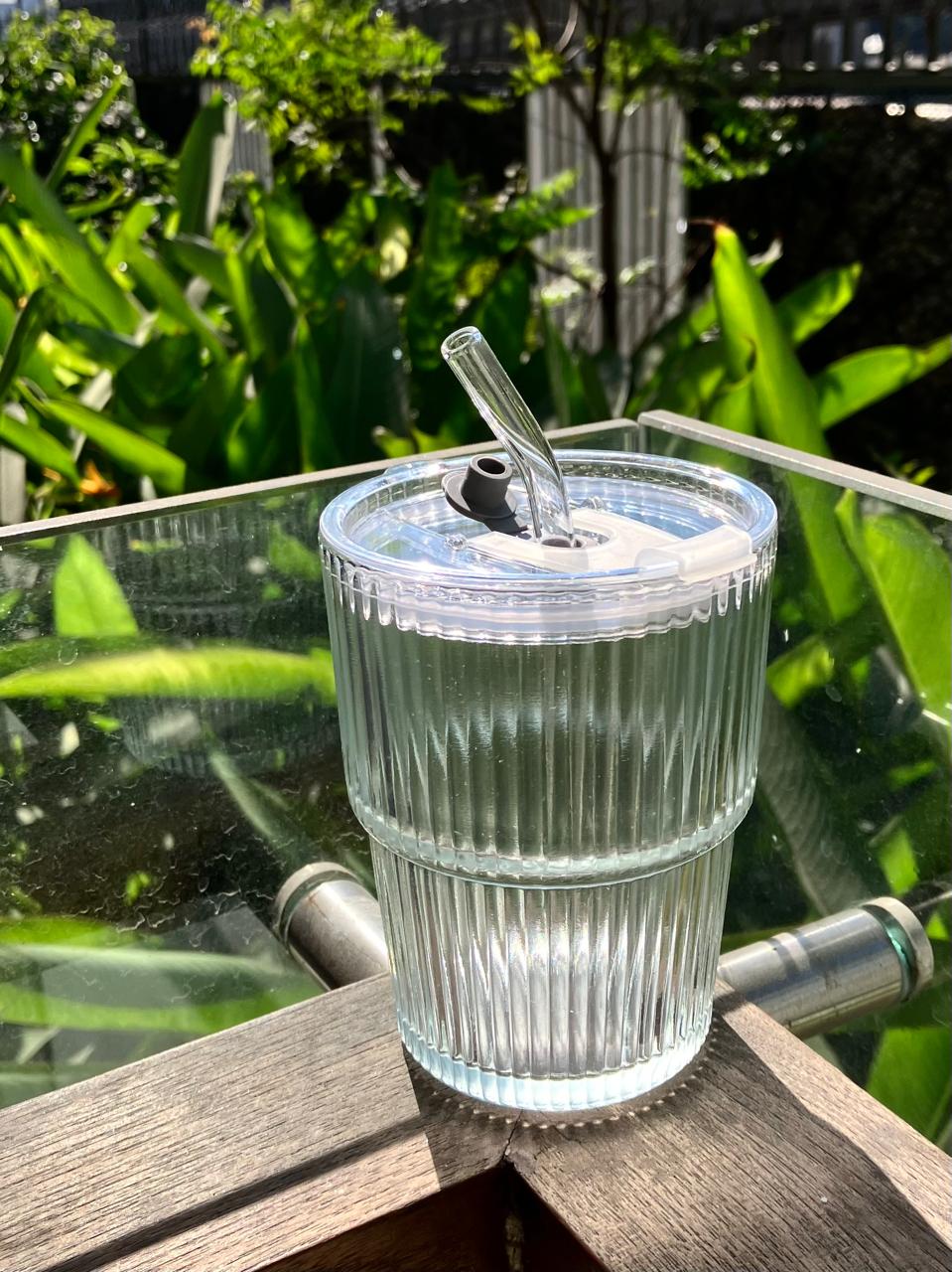 The Leakproof Glass Cup — With Reusable Glass Straw | 450ml